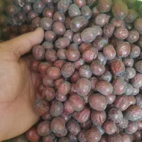 عناب جگری امسالی وزرشک پفکی امسالی|خوردنی و آشامیدنی|بجستان, |دیوار