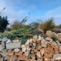 زمین باغی|فروش دفتر صنعتی، کشاورزی، تجاری|آزادشهر, |دیوار