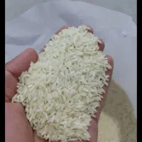 برنج عنبربو افرا برکت|خوردنی و آشامیدنی|اهواز, کیانشهر|دیوار