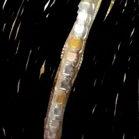 فروش یک عدد النگو نقره