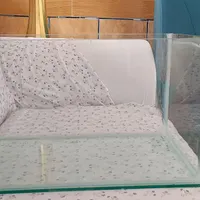 یک عدد اکواریم نو