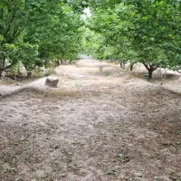 باغچه باغ در خسروشاه خسروشهر 404متر|فروش خانه و ویلا|خسروشاه, |دیوار