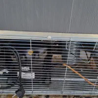 فریزر ایستاده کینو|فروشگاه و مغازه|اصفهان, شاهزاده ابراهیم|دیوار