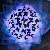 رینگ لایت ایرپاد