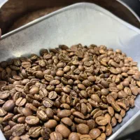 قهوه|عمدهفروشی|اسلامآباد غرب, |دیوار