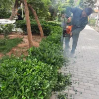 خدمات باغبانی و گل و گیاه کارشناس گیاه پزشکی|خدمات باغبانی و درختکاری|تهران, پارک شهر|دیوار