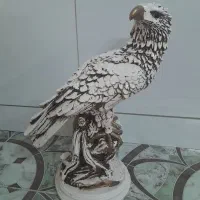 عقاب پلی استر|مجسمه، تندیس، ماکت|پاکدشت, پاکدشت (مامازند)|دیوار