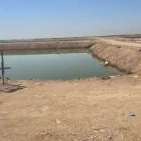 گارگر ساده برای حوضچه ماهی