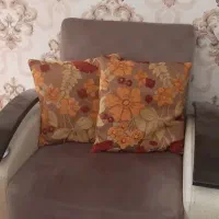 «فروش یکجا مبل تختخواب‌شو