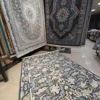 فرش گلوریا  عزت خواه توس|فرش|مشهد, توس (بلوار توس)|دیوار