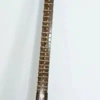 سه تار حرفه ای و کارگاهی دو مهر استاد شاهرخی|سازهای سنتی|کرج, دهقان ویلا|دیوار