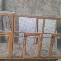 قفس کبوتر