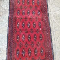 ب دلیل مهاجرت