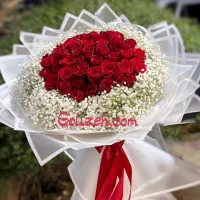 همراه سالمند خانم