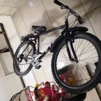 دوچرخه 26 ویوا