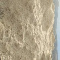 کاه گندم دیم درجه یک