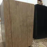 کاخن در‌حد نو خوش صدا