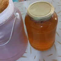 عسل طبیعی|خوردنی و آشامیدنی|یاسوج, |دیوار