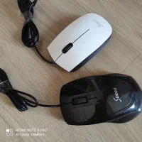 دو عدد موس رایانه