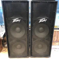 بلندگو باند اسپیکر پی وی ۱۱۰۰ وات