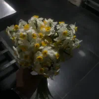 نیروی خدماتی