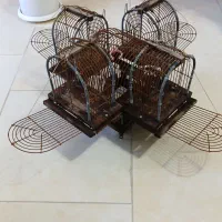 قفس ۴ تله
