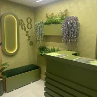 واگذاری کامل پیتزا 8