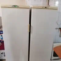 یخچال و فریزر دوقلو پارس