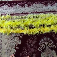 پر مرغی ریسه ای علامت|کلکسیون و سرگرمی|تهران, شهرک زینبیه|دیوار