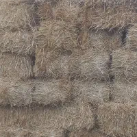 کلش ابی|لوازم جانبی حیوانات|قصابه, |دیوار