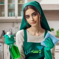 شرکت خدماتی نظافتی و پذیرایی درخشان