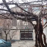 کلنگی-در-ولیعصر-بر-خیابان