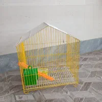 یک عدد تر وتمیز