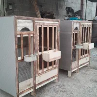 لانه‌خروس‌لاری