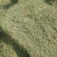 یونجه درجه یک و درجه دو