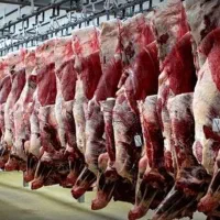 تعاونی زیر فی زیر نظر بازراس دامپزشکی|خوردنی و آشامیدنی|مشهد, کشاورز|دیوار