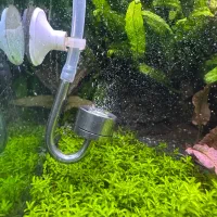 آکواریوم پلنت|ماهی|قم, نخودی|دیوار