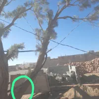 اره موتوری فرشی