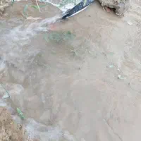 باغچه-سر-سبز-با-درختان-بارده