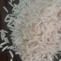 برنج فجر سوزنی ۱۲۰ روزه مستقیم از کشاورز