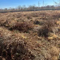 فروش باغ فوری|فروش زمین و ملک کلنگی|گلپایگان, |دیوار