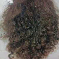 کلا گیس|آرایشی، بهداشتی، درمانی|تربتحیدریه, منصوریه|دیوار