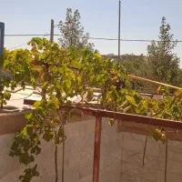 معاوضه ملک ویلایی توحید شهر با ویلایی درسبزوار