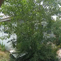 اجاره سویت ویلا تک اتاق اجاره ای|اجارهٔ کوتاهمدت ویلا و باغ|لاهیجان, گلستان|دیوار