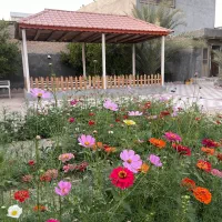 تخفیف ویژه زمین باغ سبخی