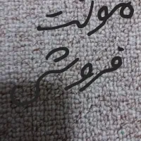 اجتماعی و فراغت