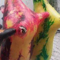 نی انبان نی انبون