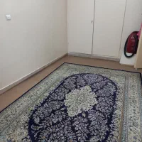 ۲ عدد فرش ۶ متری