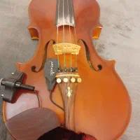 ویولن حرفه ای