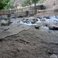 مسافربری